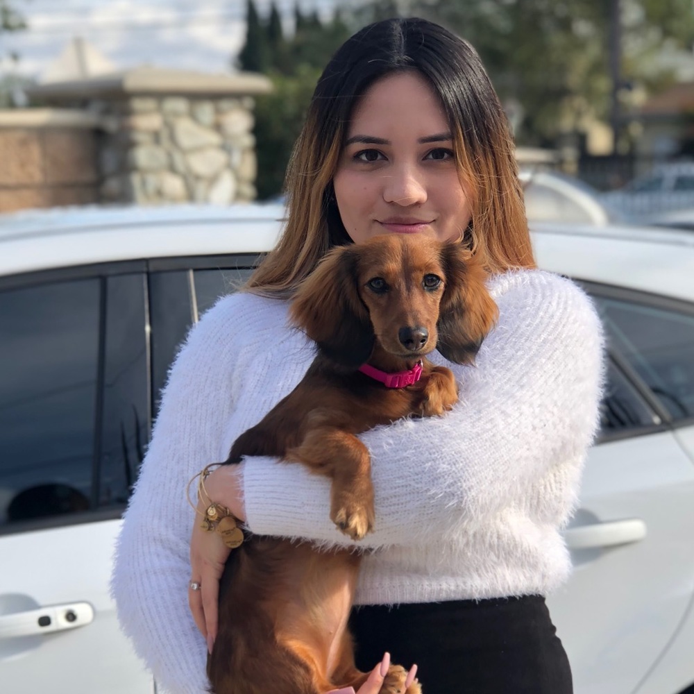 Meet your Posher, Arlene